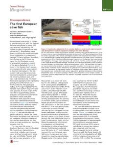 Current-Biology_2017_The-first-European-cave-fish