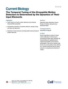 Current-Biology_2017_The-Temporal-Tuning-of-the-Drosophila-Motion-Detectors-Is-Determined-by-the-Dynamics-of-Their-Input-Elements