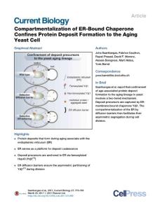 Current-Biology_2017_Compartmentalization-of-ER-Bound-Chaperone-Confines-Protein-Deposit-Formation-to-the-Aging-Yeast-Cell