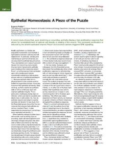 Current-Biology_2017_Epithelial-Homeostasis-A-Piezo-of-the-Puzzle