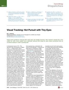 Current-Biology_2017_Visual-Tracking-Hot-Pursuit-with-Tiny-Eyes