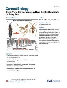 Current-Biology_2017_Deep-Time-Convergence-in-Rove-Beetle-Symbionts-of-Army-Ants