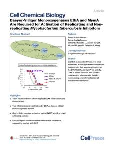 Cell-Chemical-Biology_2016_Baeyer-Villiger-Monooxygenases-EthA-and-MymA-Are-Required-for-Activation-of-Replicating-and-Non-replicating-Mycobacterium-t