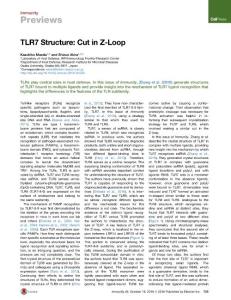 Immunity_2016_TLR7-Structure-Cut-in-Z-Loop