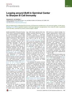 Immunity_2016_Looping-around-Bcl6-in-Germinal-Center-to-Sharpen-B-Cell-Immunity