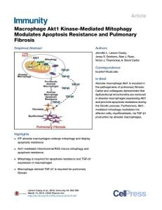 Immunity_2016_Macrophage-Akt1-Kinase-Mediated-Mitophagy-Modulates-Apoptosis-Resistance-and-Pulmonary-Fibrosis