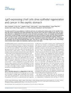 ncb3541-Lgr5-expressing chief cells drive epithelial regeneration and cancer in the oxyntic stomach