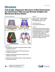 Structure_2017_Full-length-Oligomeric-Structure-of-Wzz-Determined-by-Cryoelectron-Microscopy-Reveals-Insights-into-Membrane-Bound-States
