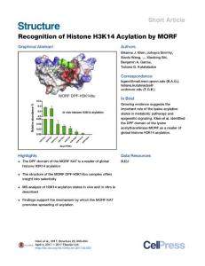 Structure_2017_Recognition-of-Histone-H3K14-Acylation-by-MORF