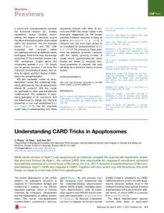 Structure_2017_Understanding-CARD-Tricks-in-Apoptosomes