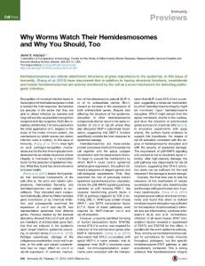 Immunity_2015_Why-Worms-Watch-Their-Hemidesmosomes-and-Why-You-Should-Too