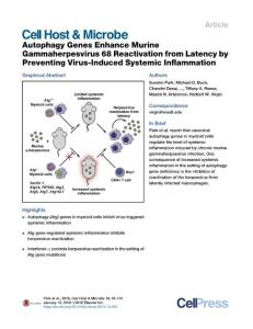 Cell-Host-Microbe_2016_Autophagy-Genes-Enhance-Murine-Gammaherpesvirus-68-Reactivation-from-Latency-by-Preventing-Virus-Induced-Systemic-Inflammation