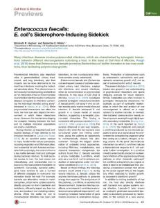 Cell-Host-Microbe_2016_Enterococcus-faecalis-E-coli-s-Siderophore-Inducing-Sidekick