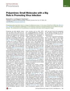 Cell-Host-Microbe_2016_Polyamines-Small-Molecules-with-a-Big-Role-in-Promoting-Virus-Infection