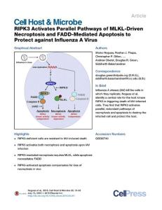 Cell-Host-Microbe_2016_RIPK3-Activates-Parallel-Pathways-of-MLKL-Driven-Necroptosis-and-FADD-Mediated-Apoptosis-to-Protect-against-Influenza-A-Virus