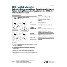 Cell-Host-Microbe_2016_Selective-Bottlenecks-Shape-Evolutionary-Pathways-Taken-during-Mammalian-Adaptation-of-a-1918-like-Avian-Influenza-Virus