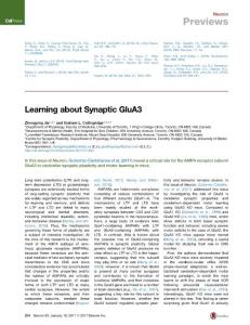 Neuron_2017_Learning-about-Synaptic-GluA3