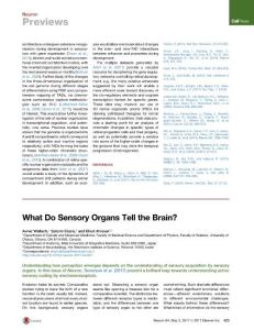 Neuron_2017_What-Do-Sensory-Organs-Tell-the-Brain-