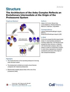 Structure_2017_The-Architecture-of-the-Anbu-Complex-Reflects-an-Evolutionary-Intermediate-at-the-Origin-of-the-Proteasome-System