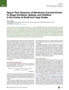 Neuron_2017_Space-Time-Dynamics-of-Membrane-Currents-Evolve-to-Shape-Excitation-Spiking-and-Inhibition-in-the-Cortex-at-Small-and-Large-Scales