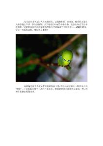 神奇！15種酷似外星生物的毛毛蟲.pdf