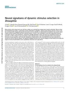 nn.4581-Neural signatures of dynamic stimulus selection in Drosophila