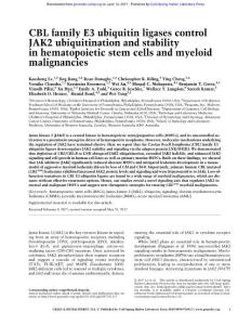 Genes Dev.-2017-Lv-CBL family E3 ubiquitin ligases control JAK2 ubiquitination and stability in hematopoietic stem cells and myeloid malignancies