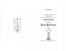 OTO Rituals & Sex Magick - 294-423