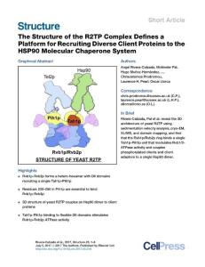 Structure-2017-The Structure of the R2TP Complex Defines a Platform for Recruiting Diverse Client Proteins to the HSP90 Molecular Chaperone System