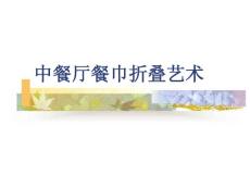 中餐廳餐巾折疊藝術.ppt