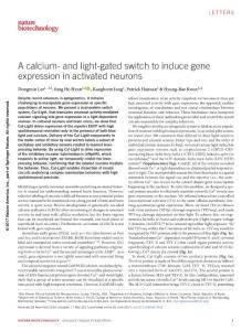 nbt.3902-A calcium- and light-gated switch to induce gene expression in activated neurons