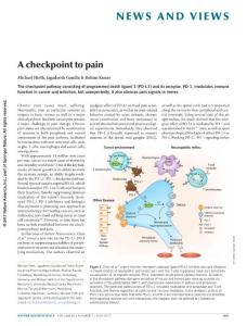 nn.4586-A checkpoint to pain