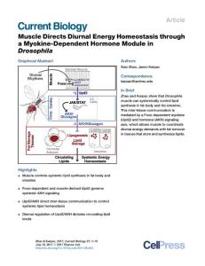Current-Biology_2017_Muscle-Directs-Diurnal-Energy-Homeostasis-through-a-Myokine-Dependent-Hormone-Module-in-Drosophila