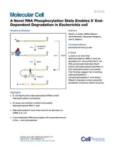 Molecular-Cell_2017_A-Novel-RNA-Phosphorylation-State-Enables-5-End-Dependent-Degradation-in-Escherichia-coli