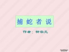 捕蛇者说九年级语文课件示例一 语文版