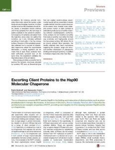 Structure_2017_Escorting-Client-Proteins-to-the-Hsp90-Molecular-Chaperone