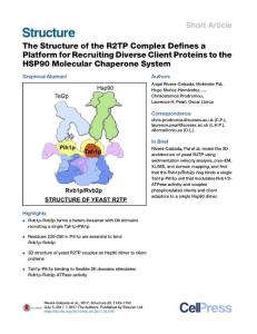 Structure_2017_The-Structure-of-the-R2TP-Complex-Defines-a-Platform-for-Recruiting-Diverse-Client-Proteins-to-the-HSP90-Molecular-Chaperone-System