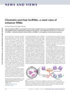 nsmb.3430-Chromatin-enriched lncRNAs- a novel class of enhancer RNAs