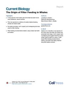 Current Biology-2017-The Origin of Filter Feeding in Whales