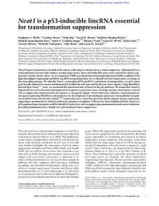 Genes Dev.-2017-Mello-Neat1 is a p53-inducible lincRNA essential for transformation suppression