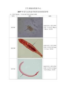 2017年寄生虫形态学检查室间质量评价