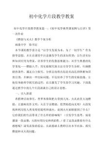 初中化学片段教学教案