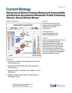 Current-Biology_2017_Hierarchical-Status-Predicts-Behavioral-Vulnerability-and-Nucleus-Accumbens-Metabolic-Profile-Following-Chronic-Social-Defeat-Str