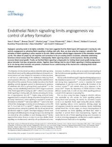 ncb3574-Endothelial Notch signalling limits angiogenesis via control of artery formation