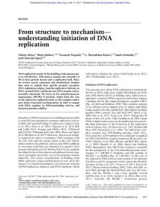 Genes Dev.-2017-Riera-1073-88-From structure to mechanism— understanding initiation of DNA replication