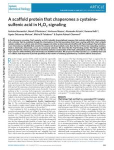 nchembio.2412-A scaffold protein that chaperones a cysteine-sulfenic acid in H2O2 signaling