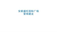 安新盛旺國際廣場營銷建議