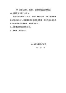 項目進度、質量、安全情況監理報告