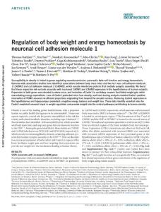 nn.4590-Regulation of body weight and energy homeostasis by neuronal cell adhesion molecule 1