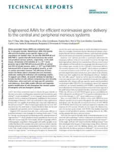 nn.4593-Engineered AAVs for efficient noninvasive gene delivery to the central and peripheral nervous systems